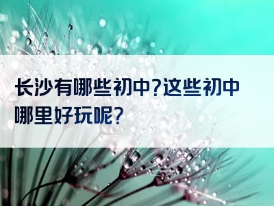 长沙有哪些初中？这些初中哪里好玩呢？