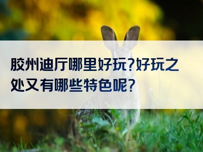 胶州迪厅哪里好玩？好玩之处又有哪些特色呢？
