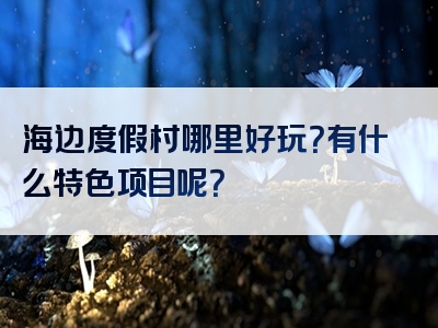 海边度假村哪里好玩？有什么特色项目呢？