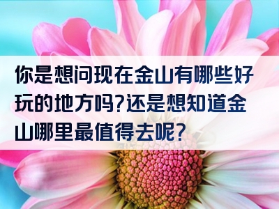 你是想问现在金山有哪些好玩的地方吗？还是想知道金山哪里最值得去呢？
