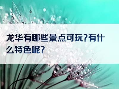 龙华有哪些景点可玩？有什么特色呢？