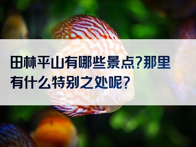 田林平山有哪些景点？那里有什么特别之处呢？