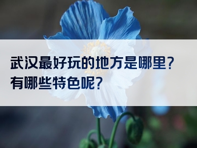 武汉最好玩的地方是哪里？有哪些特色呢？