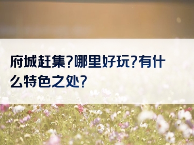 府城赶集？哪里好玩？有什么特色之处？