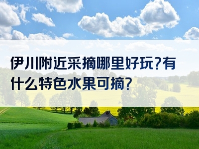 伊川附近采摘哪里好玩？有什么特色水果可摘？