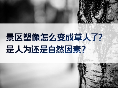 景区塑像怎么变成草人了？是人为还是自然因素？