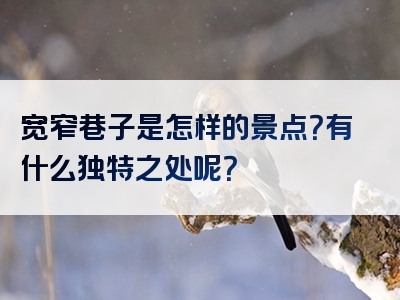 宽窄巷子是怎样的景点？有什么独特之处呢？