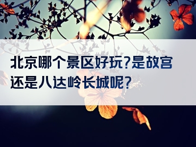 北京哪个景区好玩？是故宫还是八达岭长城呢？
