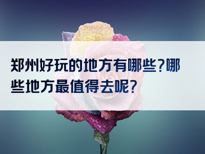 郑州好玩的地方有哪些？哪些地方最值得去呢？