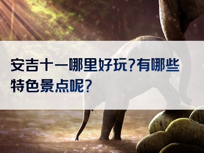 安吉十一哪里好玩？有哪些特色景点呢？