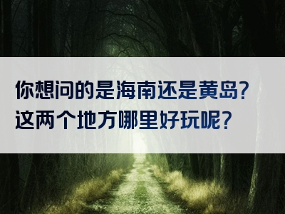 你想问的是海南还是黄岛？这两个地方哪里好玩呢？