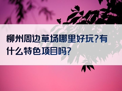 柳州周边草场哪里好玩？有什么特色项目吗？