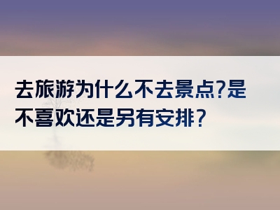 去旅游为什么不去景点？是不喜欢还是另有安排？