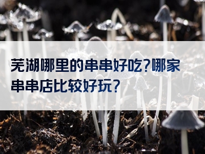芜湖哪里的串串好吃？哪家串串店比较好玩？