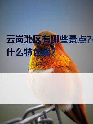 云岗北区有哪些景点？都有什么特色呢？
