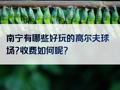 南宁有哪些好玩的高尔夫球场？收费如何呢？