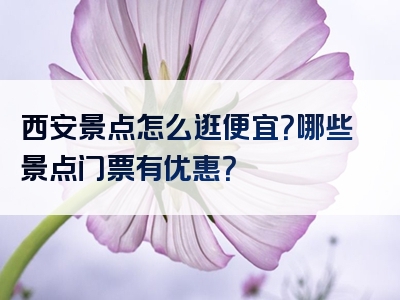西安景点怎么逛便宜？哪些景点门票有优惠？