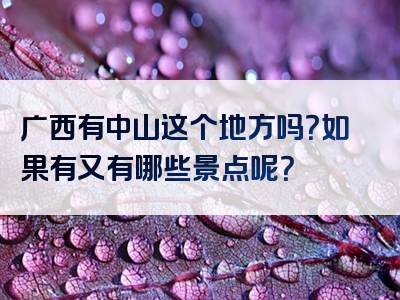 广西有中山这个地方吗？如果有又有哪些景点呢？