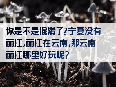 你是不是混淆了？宁夏没有丽江，丽江在云南，那云南丽江哪里好玩呢？