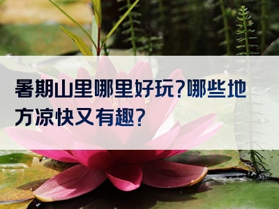 暑期山里哪里好玩？哪些地方凉快又有趣？