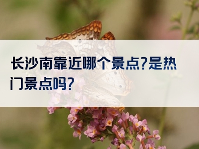 长沙南靠近哪个景点？是热门景点吗？