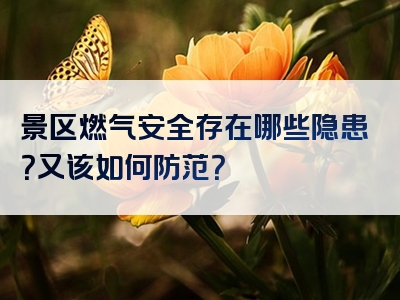 景区燃气安全存在哪些隐患？又该如何防范？