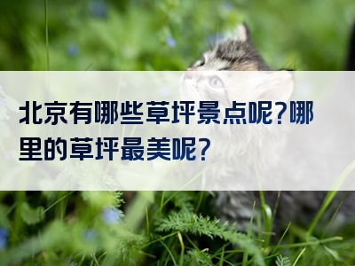 北京有哪些草坪景点呢？哪里的草坪最美呢？
