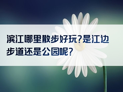滨江哪里散步好玩？是江边步道还是公园呢？