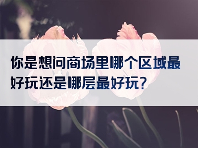 你是想问商场里哪个区域最好玩还是哪层最好玩？