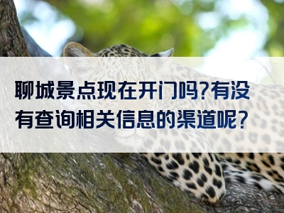 聊城景点现在开门吗？有没有查询相关信息的渠道呢？