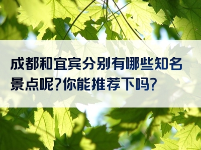 成都和宜宾分别有哪些知名景点呢？你能推荐下吗？