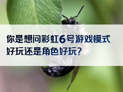 你是想问彩虹6号游戏模式好玩还是角色好玩？