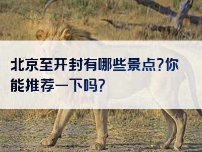 北京至开封有哪些景点？你能推荐一下吗？