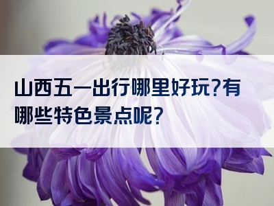 山西五一出行哪里好玩？有哪些特色景点呢？