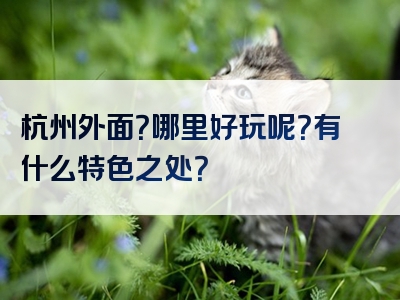 杭州外面？哪里好玩呢？有什么特色之处？