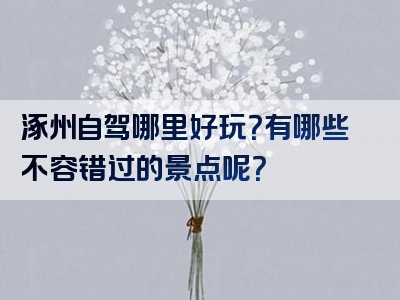 涿州自驾哪里好玩？有哪些不容错过的景点呢？