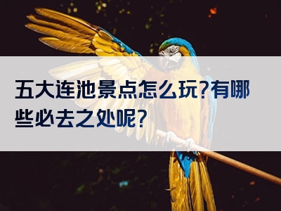 五大连池景点怎么玩？有哪些必去之处呢？
