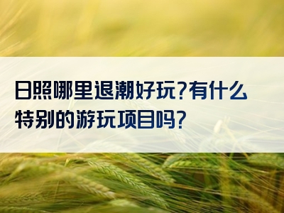 日照哪里退潮好玩？有什么特别的游玩项目吗？