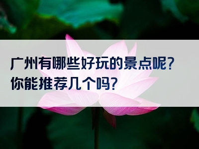 广州有哪些好玩的景点呢？你能推荐几个吗？