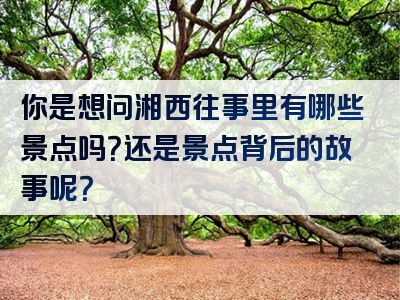 你是想问湘西往事里有哪些景点吗？还是景点背后的故事呢？