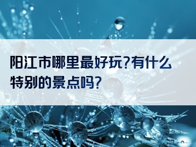 阳江市哪里最好玩？有什么特别的景点吗？