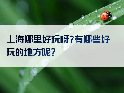 上海哪里好玩呀？有哪些好玩的地方呢？