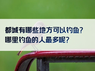 都城有哪些地方可以钓鱼？哪里钓鱼的人最多呢？