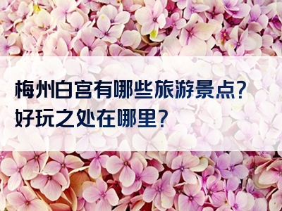 梅州白宫有哪些旅游景点？好玩之处在哪里？