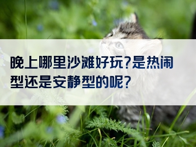 晚上哪里沙滩好玩？是热闹型还是安静型的呢？