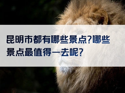 昆明市都有哪些景点？哪些景点最值得一去呢？