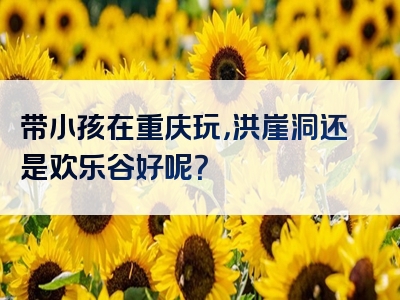 带小孩在重庆玩，洪崖洞还是欢乐谷好呢？