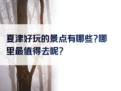 夏津好玩的景点有哪些？哪里最值得去呢？
