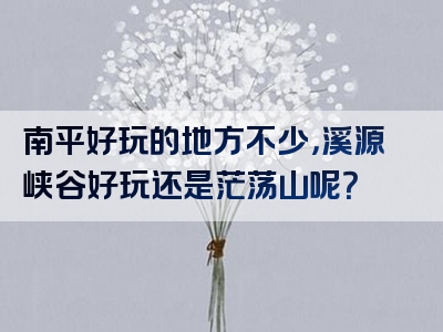 南平好玩的地方不少，溪源峡谷好玩还是茫荡山呢？