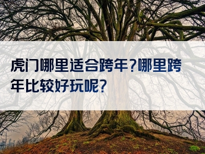 虎门哪里适合跨年？哪里跨年比较好玩呢？